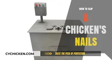Easy Guide to Safely Trimming Your Chicken’s Nails at Home