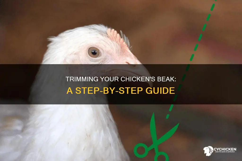 how to clip a chicken