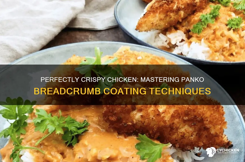 how to coat chicken in panko breadcrumbs