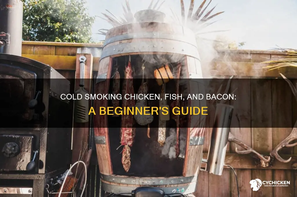 how to cold smoke chicken fish and bacon