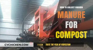 Efficiently Collecting Chicken Manure for Rich, Nutrient-Packed Compost