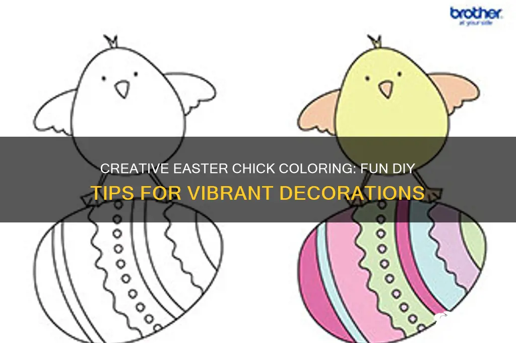 how to color a chick for easter