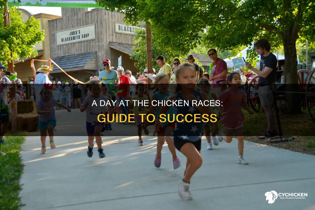 how to complete a day at the chicken races