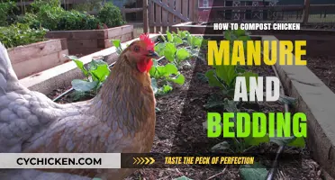 Composting Chicken Manure and Bedding: A Step-by-Step Guide for Beginners