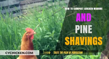Chicken Manure and Pine Shavings: The Perfect Compost Recipe