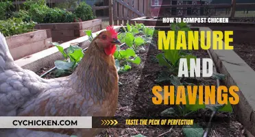 Composting Chicken Manure and Shavings: A Step-by-Step Guide