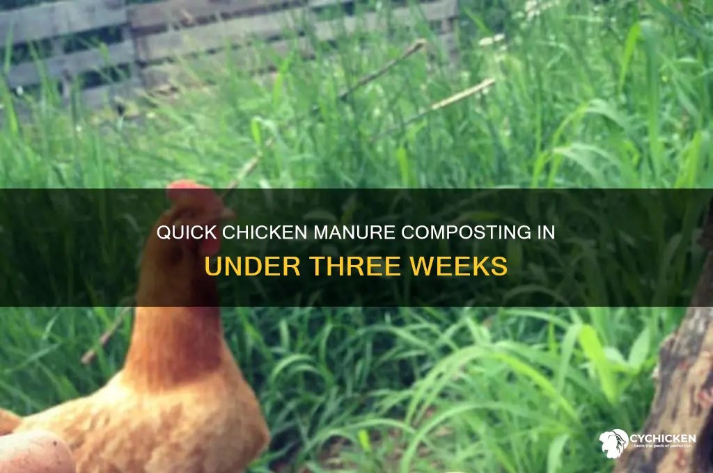 how to compost chicken manure in 18 days