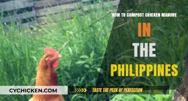 Chicken Manure Composting: A Guide for Filipino Farmers