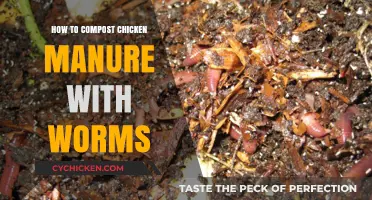 Worm Composting Chicken Manure: A Step-by-Step Guide for Nutrient-Rich Fertilizer
