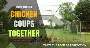 Connecting Chicken Coops: A Step-by-Step Guide for Expanding Your Flock's Space