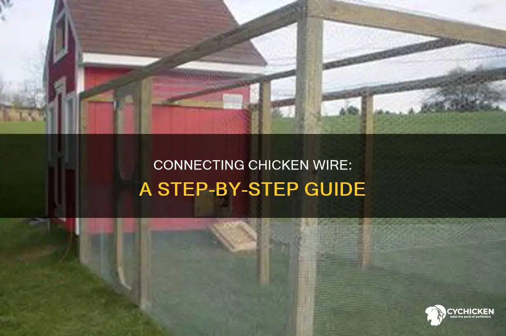 how to connect chicken wire to chicken wire