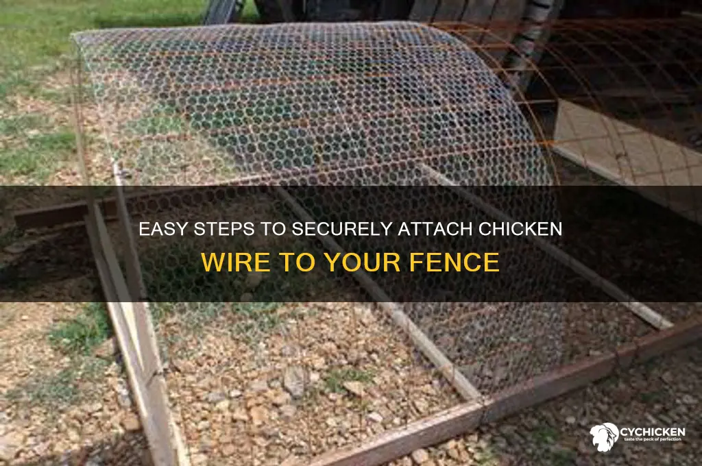 how to connect chicken wire to fence