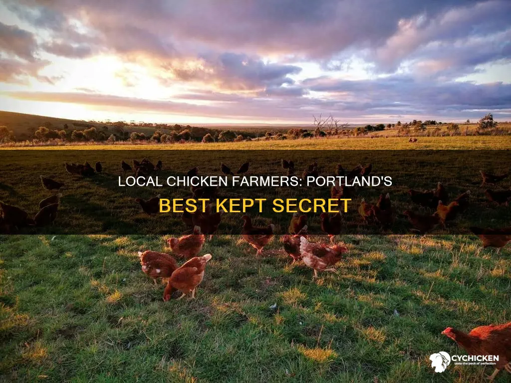 how to connect with a small chicken farmer portland