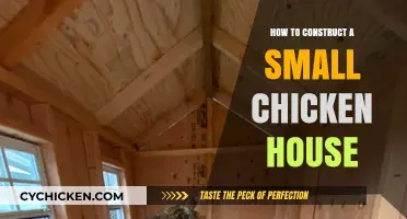 Building a Cozy Chicken Coop: Simple Steps for Small Flocks
