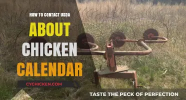 Contacting USDA for Chicken Calendar: A Step-by-Step Guide