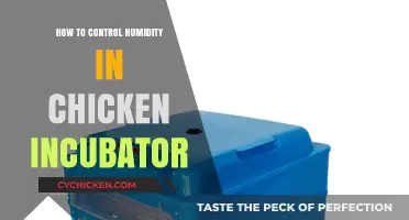 Mastering Humidity Control in Your Chicken Incubator for Hatching Success