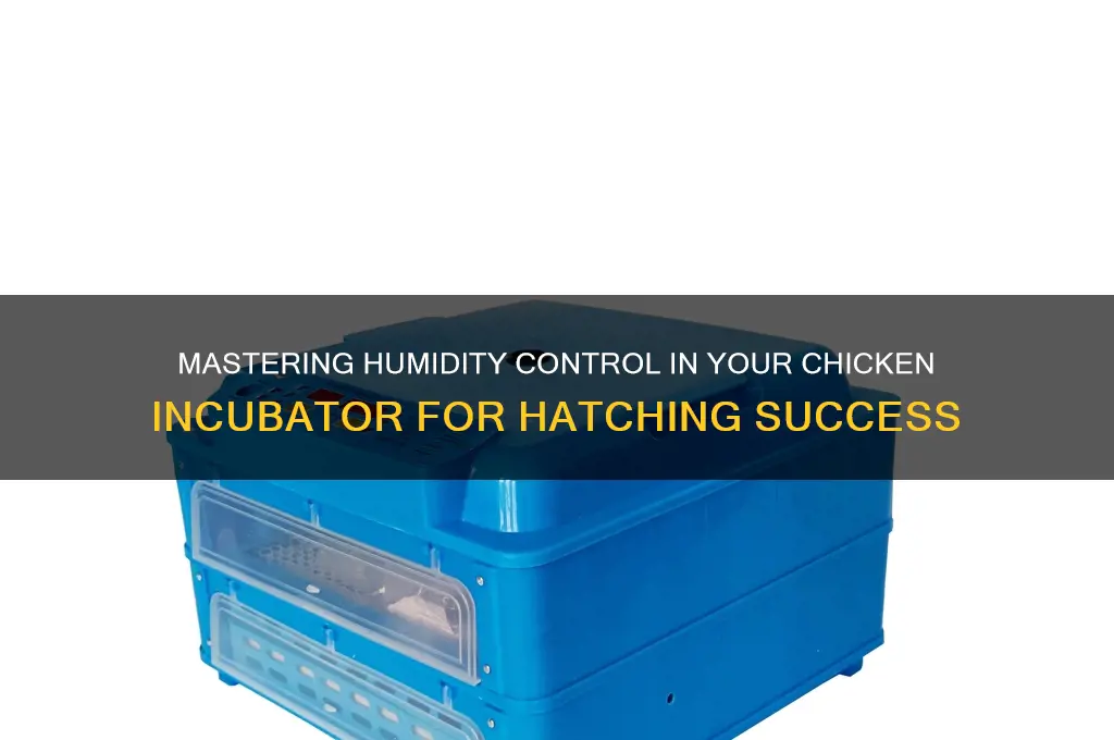 how to control humidity in chicken incubator