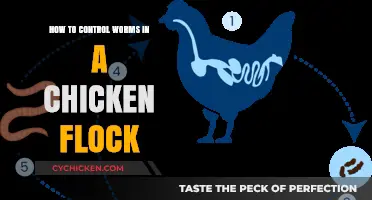 Protecting Your Flock: Controlling Worms in Chickens
