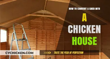 Transforming Your Shed: A Chicken Palace