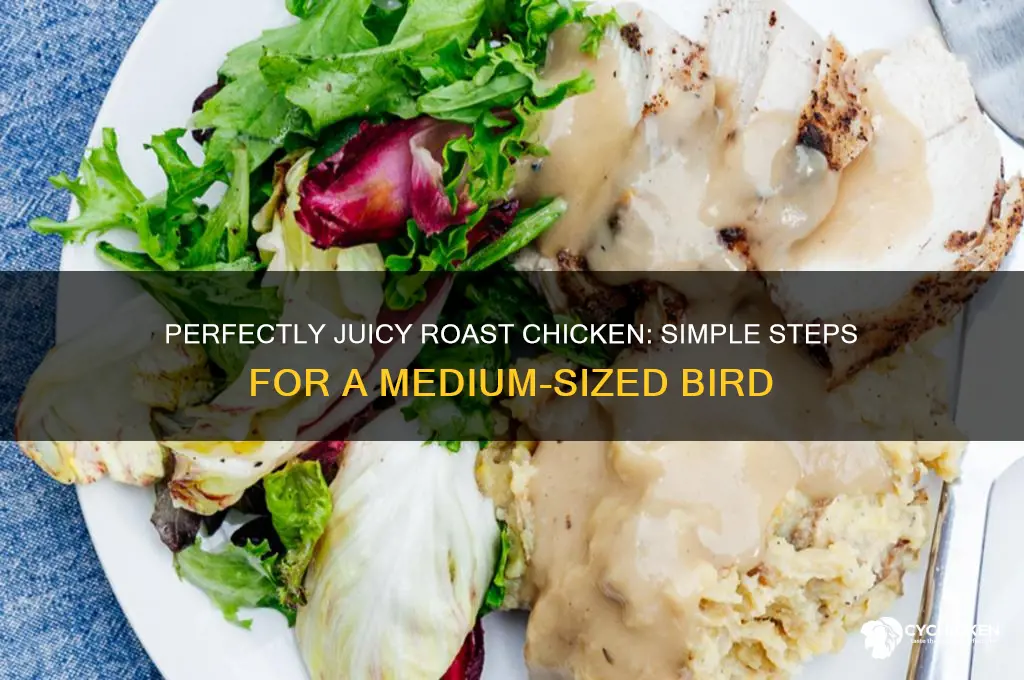 how to cook a medium sized roast chicken