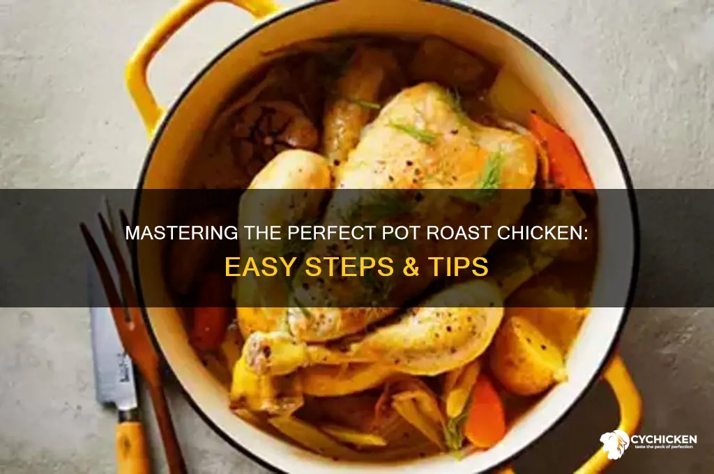 how to cook a pot roast chicken