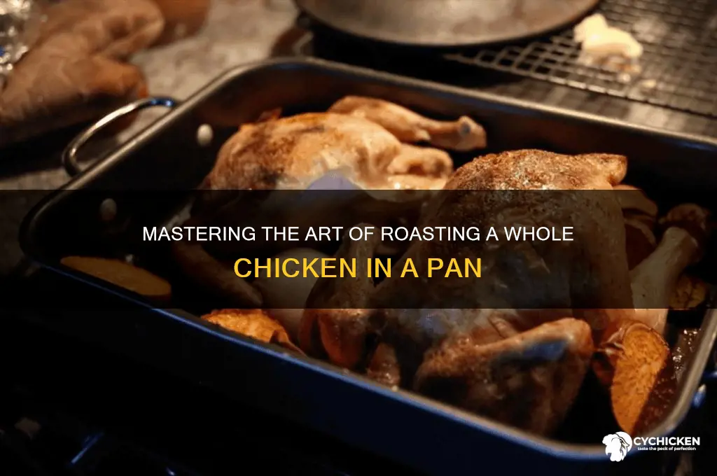 how to cook a whole chicken in a roaster pan