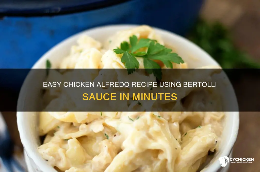how to cook chicken alfredo with bertolli sauce