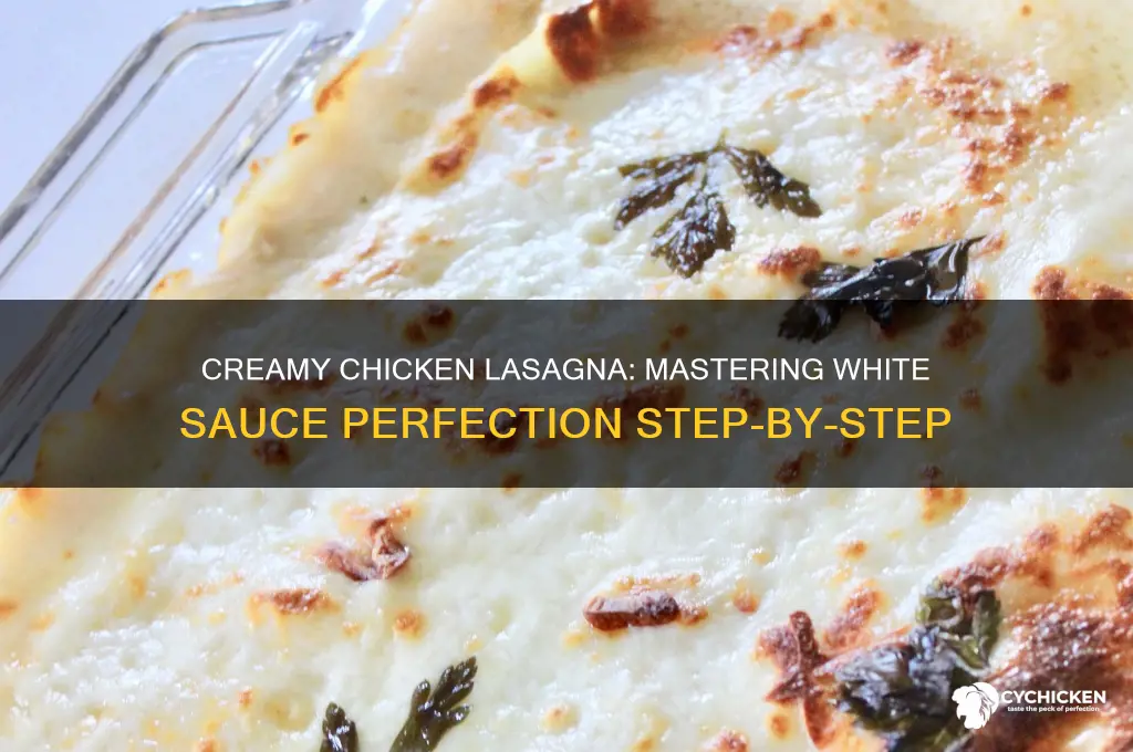 how to cook chicken lasagna white sauce