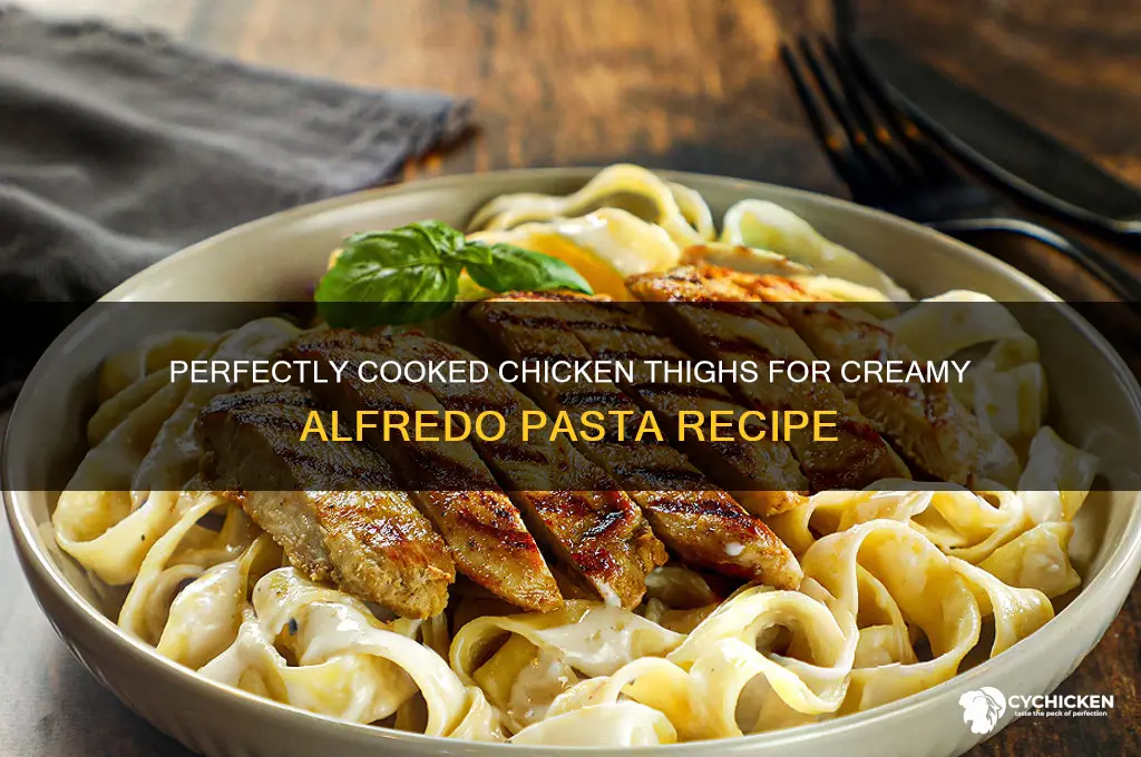 how to cook chicken thighs for alfredo