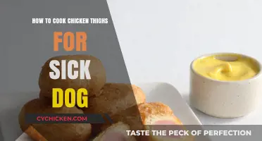Easy Chicken Thigh Recipe for Your Sick Dog's Recovery