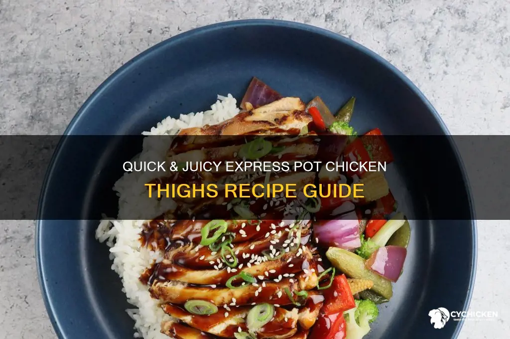 how to cook chicken thighs in a express pot