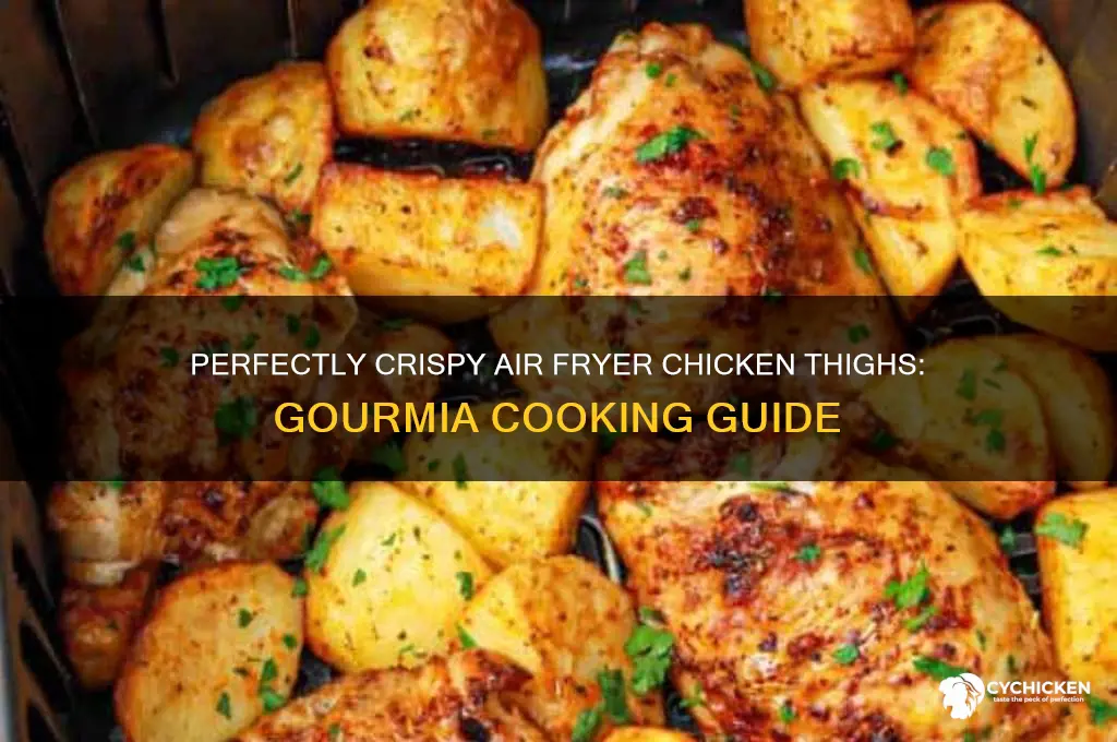 how to cook chicken thighs in gourmia air fryer