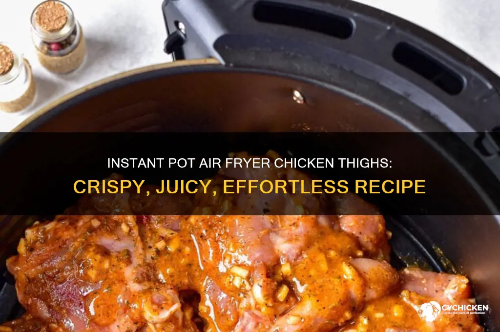 how to cook chicken thighs in instant pot air fryer