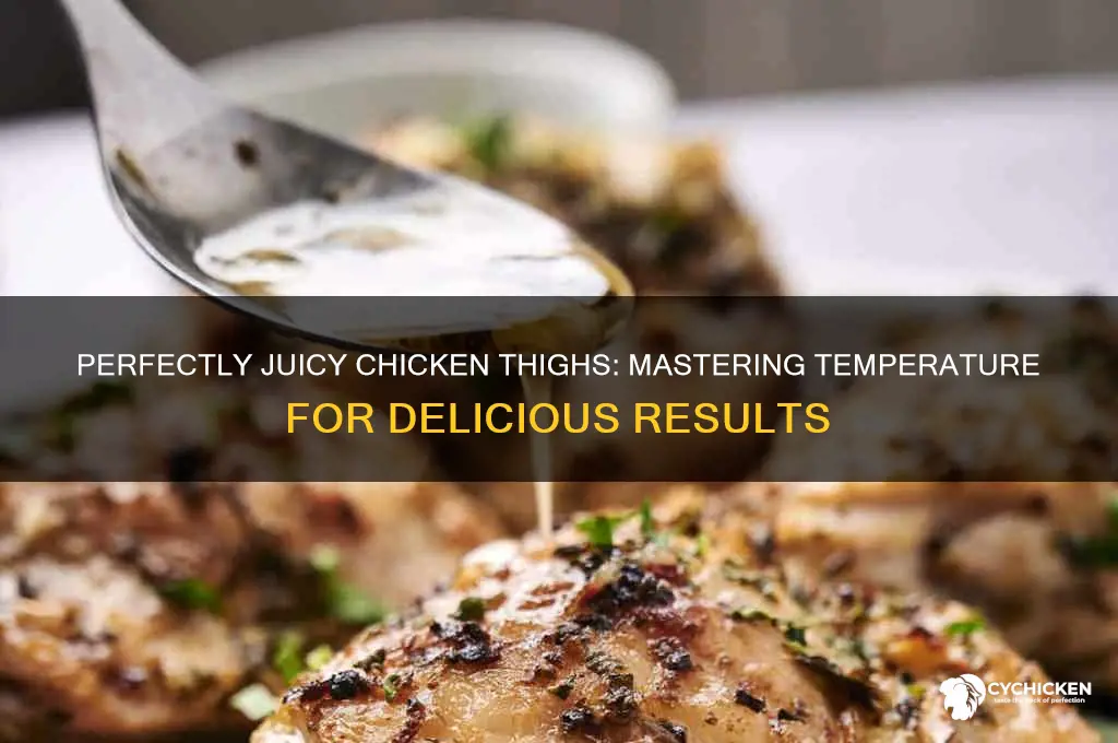 how to cook chicken thighs temperature