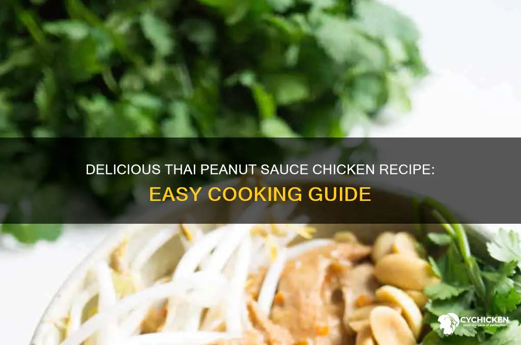 how to cook chicken with thai peanut sauce