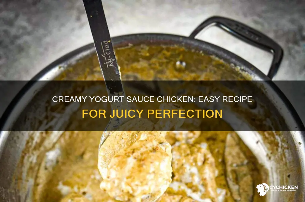 how to cook chicken with yogurt sauce