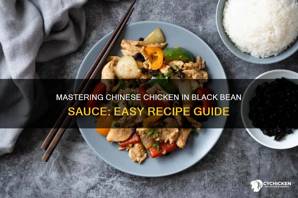 how to cook chinese chicken in black bean sauce