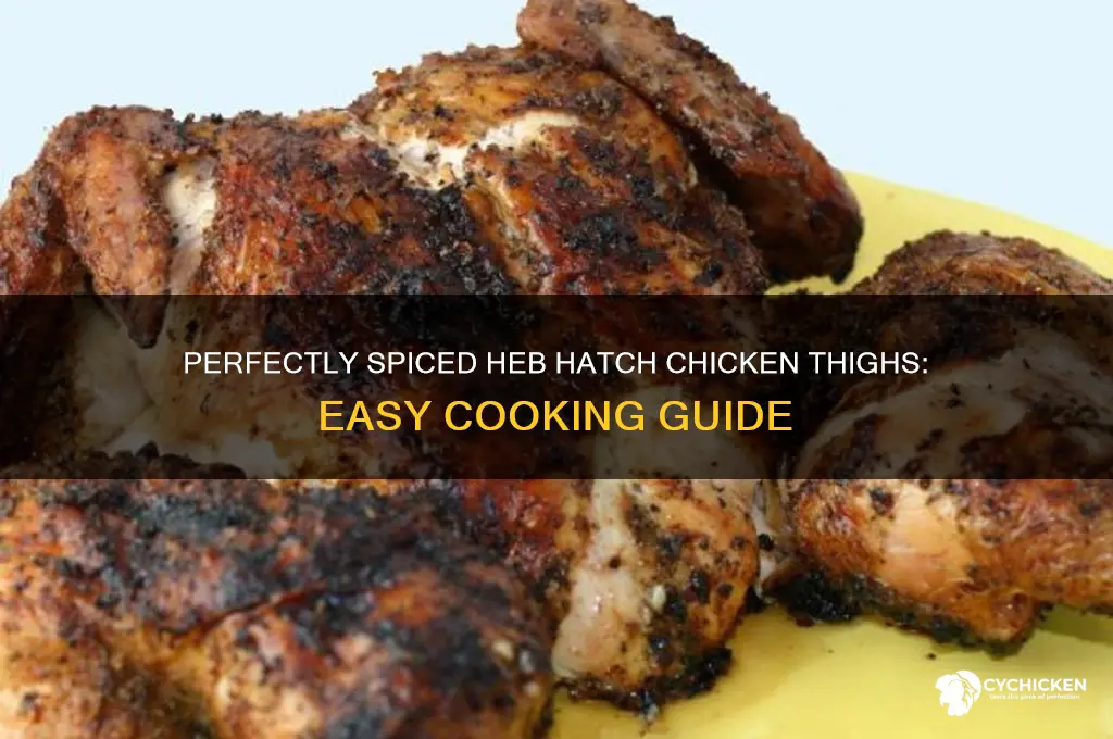 how to cook heb hatch chicken thighs