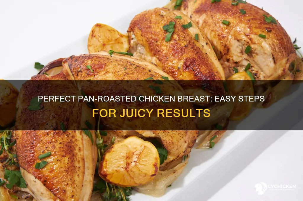 how to cook pan roasted chicken breast