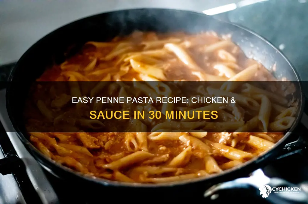 how to cook penne pasta with chicken and sauce