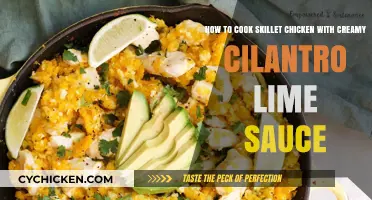 Skillet Chicken with Creamy Cilantro Lime Sauce: Easy Recipe Guide