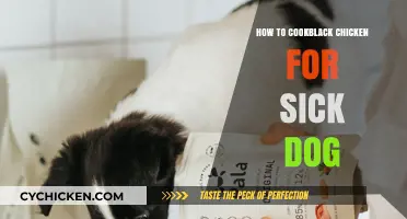 Healing Black Chicken Recipe for Your Sick Dog: Easy Cooking Guide