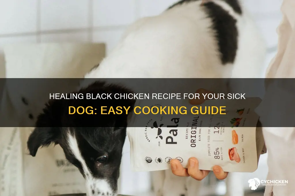 how to cookblack chicken for sick dog