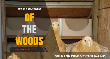 Cooling Chicken of the Woods: Simple Techniques for Perfect Preservation