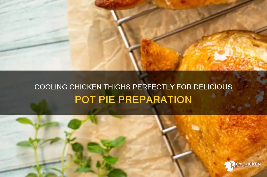 how to cool chicken thighs for pot pie
