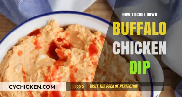 Quick Tips to Cool Buffalo Chicken Dip Fast and Safely