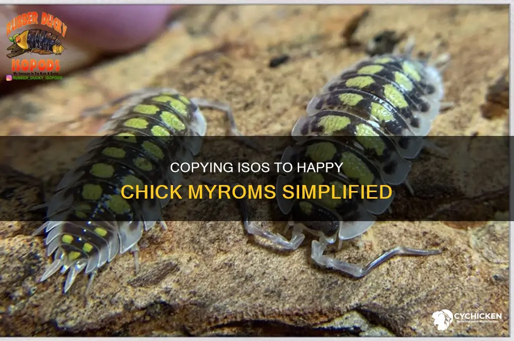 how to copy iso to happy chick myroms