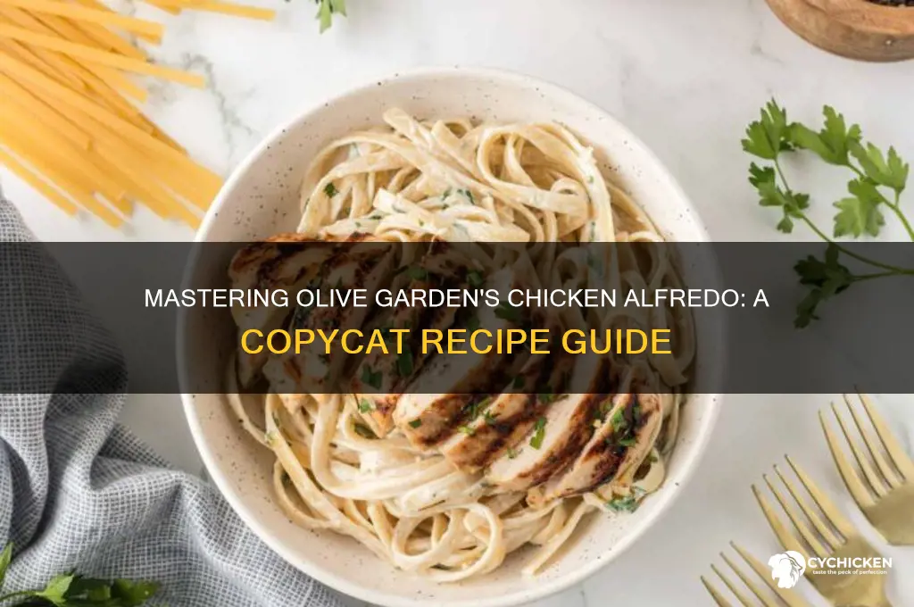 how to copycat olive garden chicken alfredo