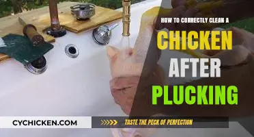 The Ultimate Guide to Cleaning a Plucked Chicken
