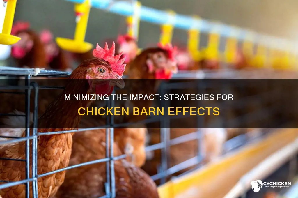 how to counterract the effects of chicken barns